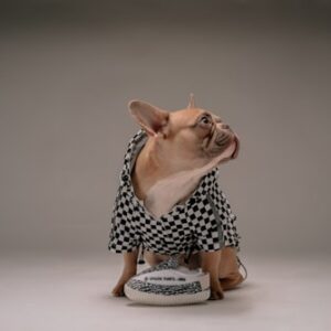 Hank's ASMR Relaxation Blanket