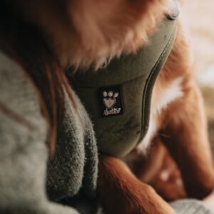 Hank's Travel Adventure Kit