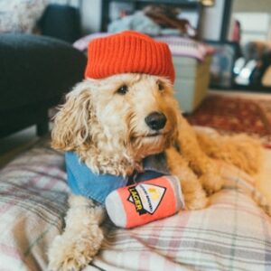 Hank's Travel Water Bottle