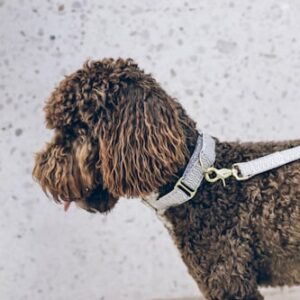 Hank's Pet Review Journal